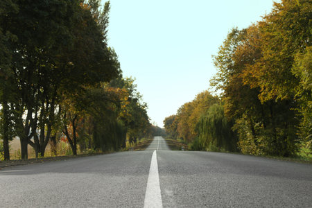 Beautiful view of empty asphalt highway and autumn trees