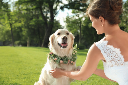 Bride and adorable Golden Retriever wearing wreath made of beautiful flowers on green grass outdoorsの写真素材