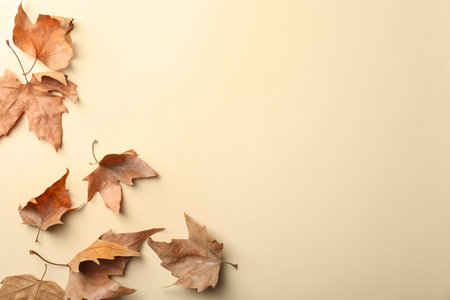 Dry autumn leaves on beige background, flat lay. Space for textの写真素材