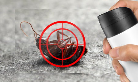 pest control. Using household insecticide to kill cockroach at home, closeupの写真素材