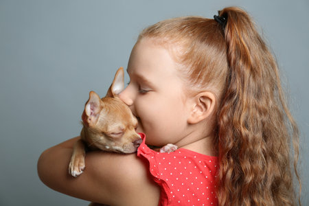 Little girl with her Chihuahua dog on gray background. Childhood petの写真素材
