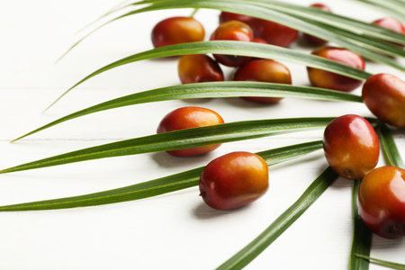 Palm oil fruits on white wooden table, closeupの写真素材