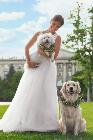 Bride and adorable dogs wearing wreathes made of beautiful flowers outdoorsの写真素材