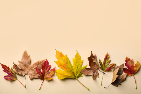 Colorful autumn leaves on beige background, flat lay. Space for textの写真素材