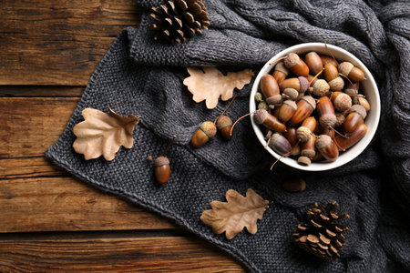 Acorns, oak leaves and pine cones on wooden table, flat layの写真素材