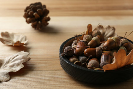 Acorns and oak leaves on wooden tableの写真素材