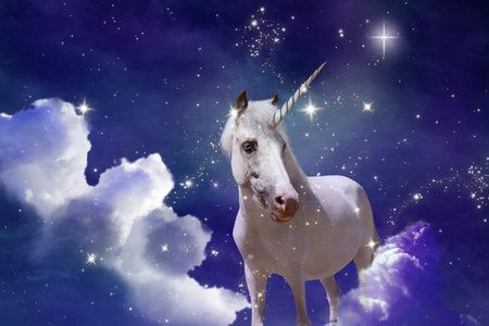 Magic unicorn in fantastic starry sky with fluffy cloudsの写真素材