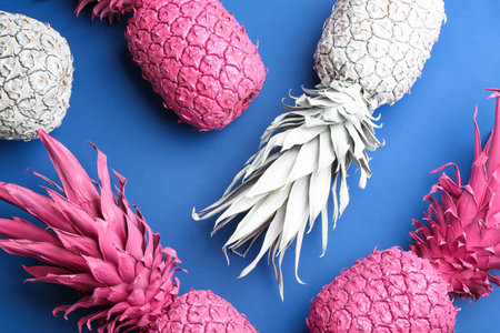 Pink and white pineapples on blue background, flat lay. creative conceptの写真素材