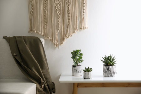 Beautiful succulents on table indoors. interior decorationの写真素材