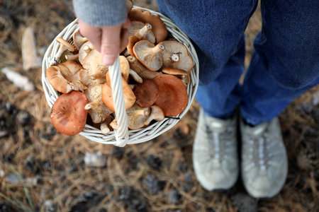 Woman holding wicker basket with fresh wild mushrooms in forest, above viewの写真素材