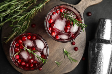 Tasty refreshing cranberry cocktail with rosemary and fresh ingredients on black table, flat layの写真素材