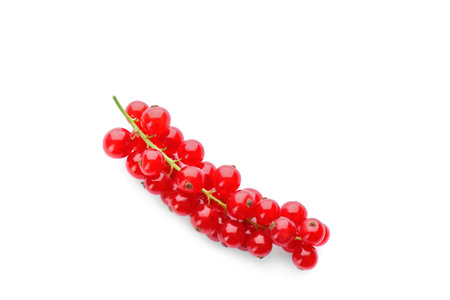 Delicious ripe red currants isolated on whiteの写真素材