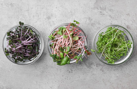 Fresh organic microgreens in bowls on grey table, flat layの写真素材
