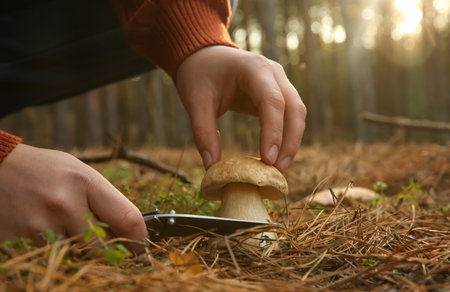 Man cutting porcini mushroom with knife in forest, closeupの写真素材