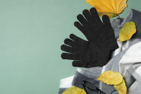 Stylish black woolen gloves, scarf and dry leaves on green background, flat lay. Space for textの写真素材