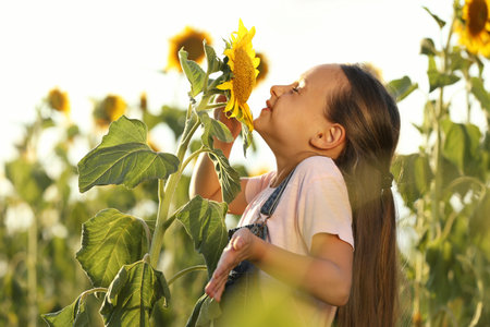 Cute little girl sniffing sunflower outdoors. child spending time in natureの写真素材