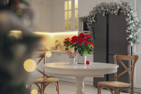 Beautiful kitchen interior with stylish Christmas decorの写真素材