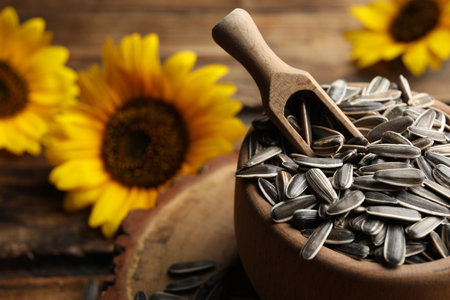 Raw sunflower seeds in bowl on table, closeupの写真素材