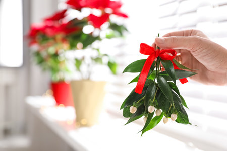 Woman holding mistletoe bunch with red bow indoors, closeup. Traditional Christmas decorの写真素材