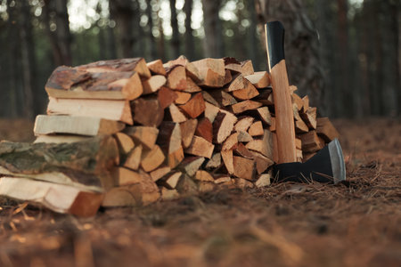 Stack of cut firewood and ax in forest, closeupの写真素材
