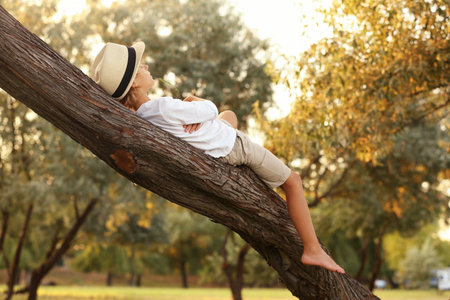 Cute little boy on tree outdoors. child spending time in natureの写真素材