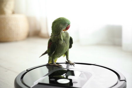 Modern robotic vacuum cleaner and Alexandrine parakeet on floor indoorsの写真素材