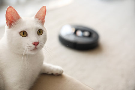 Cute white cat and modern robotic vacuum cleaner indoors. Space for textの写真素材