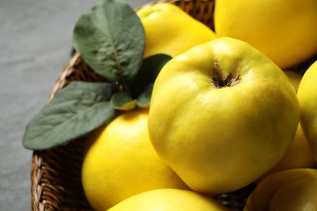 Fresh ripe organic quinces with leaves, closeupの写真素材
