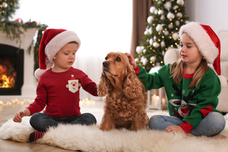 Cute little kids with English Cocker Spaniel in room decorated for Christmasの写真素材