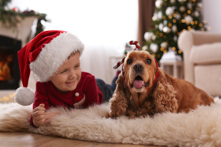 Cute little boy with English Cocker Spaniel in room decorated for Christmasの写真素材