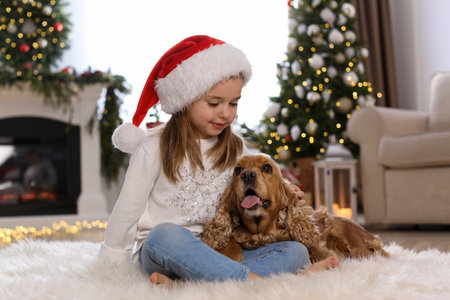 Cute little girl with English Cocker Spaniel in room decorated for Christmasの写真素材