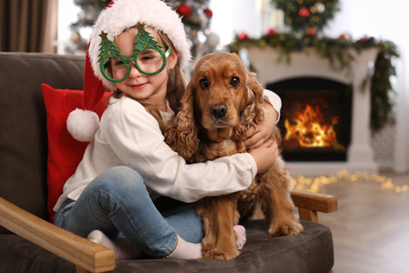 Cute little girl in Santa hat and Christmas glasses with English Cocker Spaniel at homeの写真素材