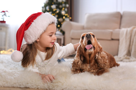 Cute little girl with English Cocker Spaniel in room decorated for Christmasの写真素材