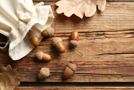 Acorns and oak leaves on wooden table, flat lay. Space for textの写真素材
