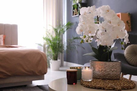 Beautiful white orchids and candles on table in room, space for text. Interior designの写真素材