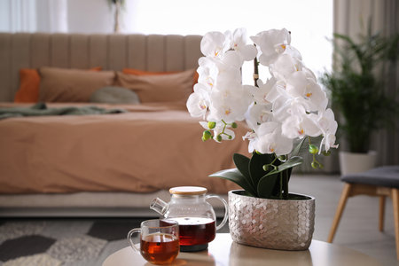 Beautiful white orchids and tea set on table in bedroom, space for text. Interior designの写真素材