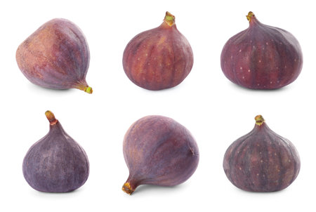 Set of tasty figs on white backgroundの写真素材