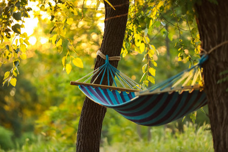 Empty comfortable blue hammock at green gardenの写真素材