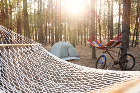 Empty hammocks, camping tent and bicycle in forest on summer dayの写真素材