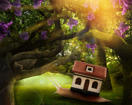 fantasy world. Magic snail with its shell house moving in beautiful forestの写真素材