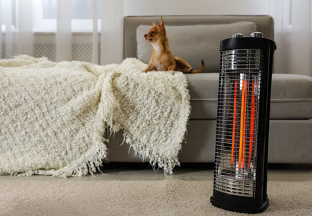 Chihuahua in living room, focus on modern electric halogen heaterの写真素材