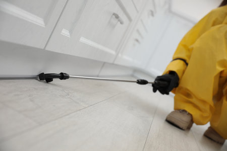 Pest control worker spraying pesticide around furniture indoors, closeupの写真素材