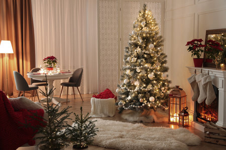 Fireplace in beautiful living room decorated for Christmasの写真素材