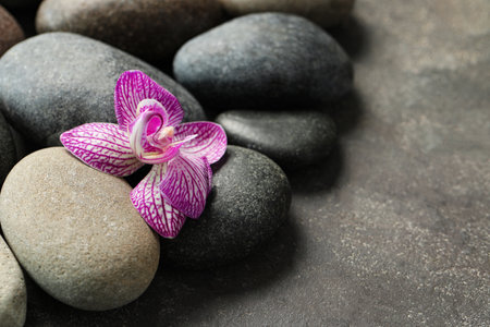 Spa stones and orchid flower on gray table, closeupの写真素材