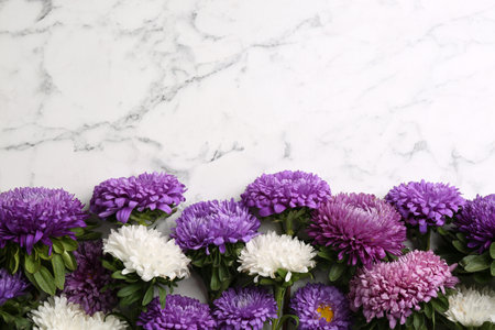 Beautiful asters and space for text on white marble background, flat lay. autumn flowersの写真素材