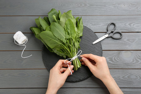 Woman tying bunch of sorrel leaves on gray wooden table, top viewの写真素材