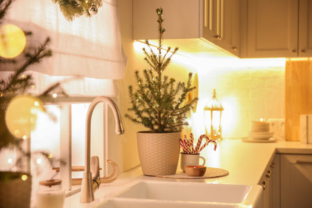 Beautiful kitchen decorated with potted firs. interior designの写真素材