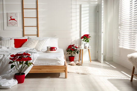 Poinsettias near bed in light cozy room. Christmas interior designの写真素材