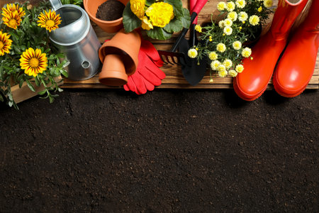 Flat lay composition with gardening equipment and flowers on soil, space for textの写真素材