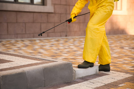 Person in hazmat suit disinfecting street with sprayer, closeup.の写真素材